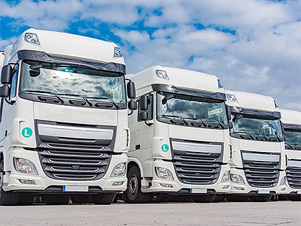 中欧2026世界杯车辆展示二